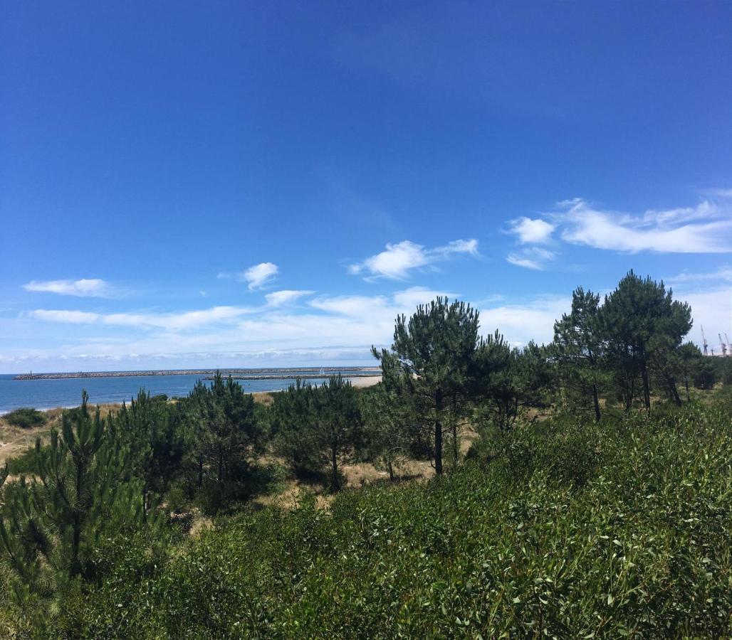 Cabedelo Beach Apartment Viana do Castelo Dış mekan fotoğraf